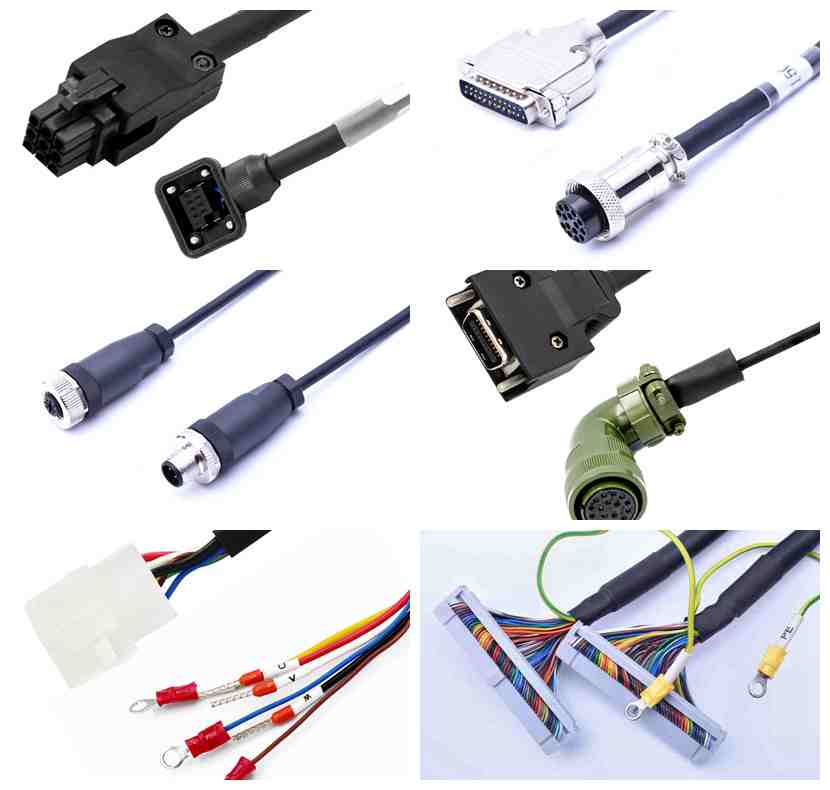 7萬(wàn)多元的龍蝦被放生，蘇州華宸宇電子線束加工廠家為你解讀為了啥？